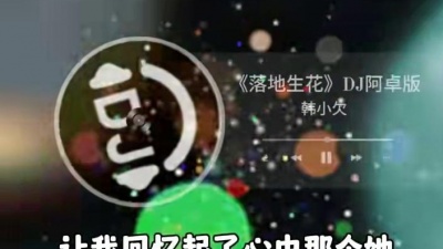 豆豆果 - 韩小欠《落地生花 (DJ阿卓版)》饭制