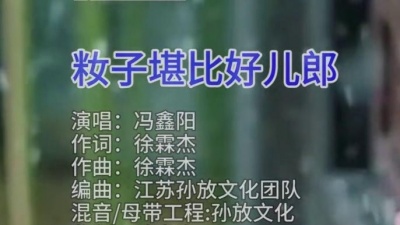 冯鑫阳 - 籹子堪比好儿郎