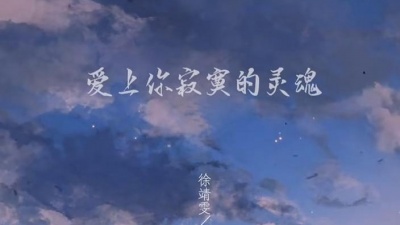 徐靖雯、王忻辰 - 爱上你寂寞的灵魂