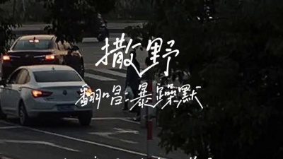暴躁默 - 撒野