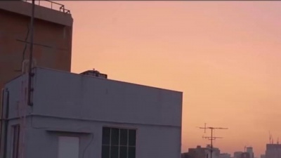 向井太一 - リセット