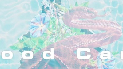 SLCHLD、HYBS、asiatic.wav - Good Care