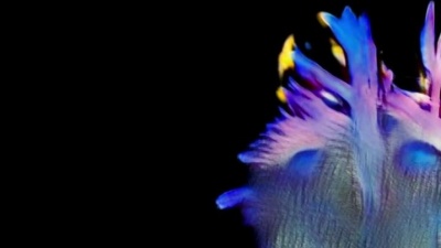 Sub Focus、AR/CO - Vibration(One More Time)