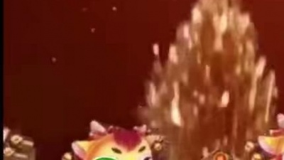 海阔天空 - 花开富贵幸福年，新年新气象