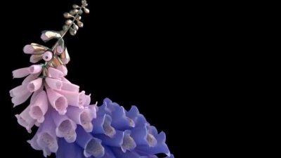 Flume、Kučka - Numb & Getting Colder
