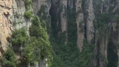 蒋大为 - 再见了大别山