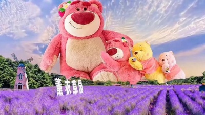 七分酿月光 - 你是你是，我的灵丹解药，你是你是，你就是那灯火阑珊处！#治愈系 #薰衣草花海