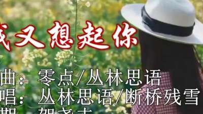 丛林思语、断桥残雪 - 我又想起你