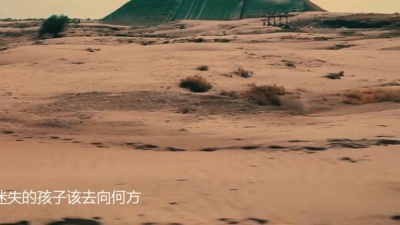 果味VC - 生命之花