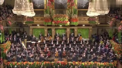 未逢敌手 - 维也纳金色大厅 保留曲目 拉德斯进行曲 最棒的一个版本
