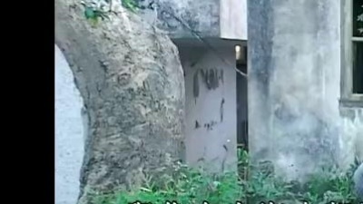 金城 - 痴情男孩