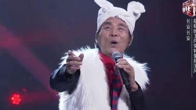 王向荣、中华好民歌花样音乐季 - 长安长安