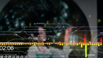 万汇娱乐 - 等什么君 - 谁念西风独自凉「高音质 动态歌词」