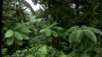 群星 - 柴科夫斯基: 船歌