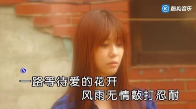 曾雨轩 - 伤了不该伤的心 (KTV版)