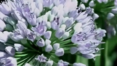 歌曲里的小宇宙 - 车站