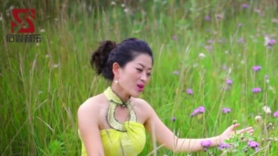 苏航 - 遇上你我很快乐