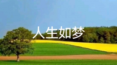 周文初 - 人生如梦