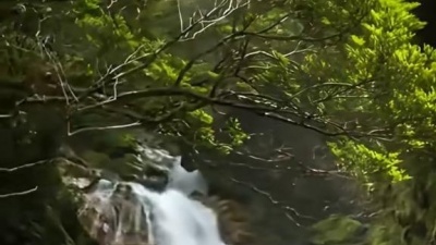 歌曲里的小宇宙 - 画你 (伴奏)