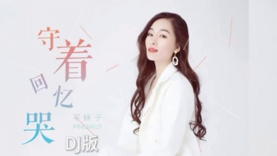 不会做饭的美食博主 - 顾婧平DJ版《守着回忆哭》往事一幕幕锥心刺骨