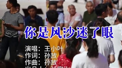 王小叶 - 你是风沙迷了眼（DJ版）