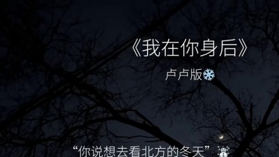 卢卢快闭嘴 - 我在你身后
