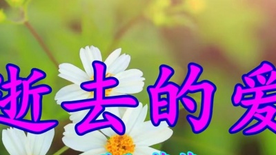 芳姐520 - 欧阳菲菲一首经典情歌《逝去的爱》好听极了
