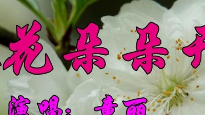 小梁弟爱唱歌 - 经典情歌，童丽一首《桃花朵朵开》好听极了