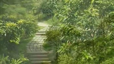 刘斌 - 这里也是家