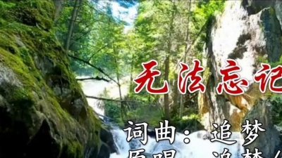 追梦、谢春红 - 无法忘记你