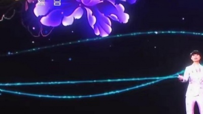 °落花忆梦ミ - 2015年春晚现场《锦绣》（李宇春）