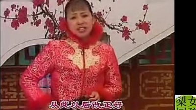 水晶灵 - 坠子皇后胡中华演唱河南坠子《恶媳妇》下 好听的很