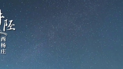 张艳君 - 我的长城