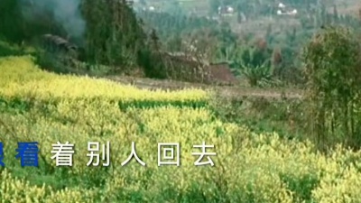 何尝不想拥抱你 - 唐家南-打工多年没有钱
