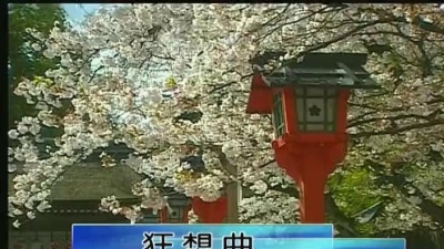 羽泉 - 狂想曲