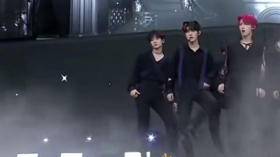 TF家族三代练习生 - 波斯猫