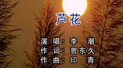 李潮 - 芦花 (KTV版)