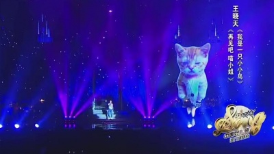 王晓天、中国好歌曲 - 再见吧 喵小姐 + 我是一只小小鸟