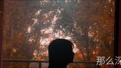 L（桃籽） - 影子