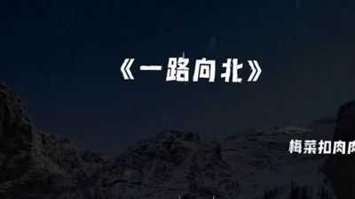 豆豆果 - 梅菜扣肉肉《一路向北》饭制