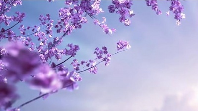 手嶌葵 - La Vie En Rose