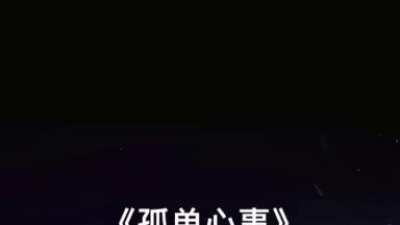刘思思 - 孤单心事