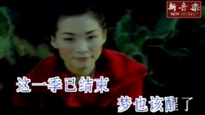 许美静 - 影子情人