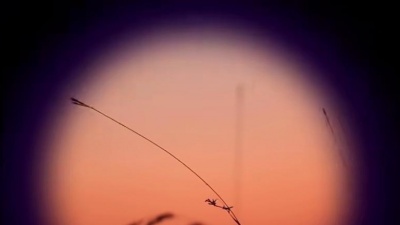 1个球 - 如果这就是爱情