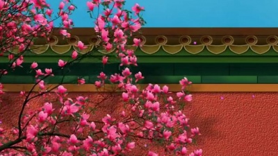 im浪里个浪 - 愿所求皆所愿，诸事顺利#动态壁纸 #