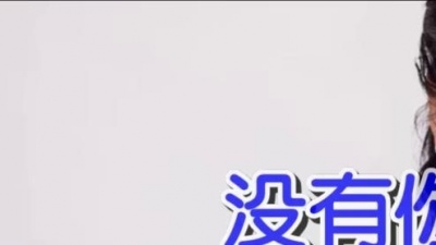 白天菲 - 没有你我该怎么办
