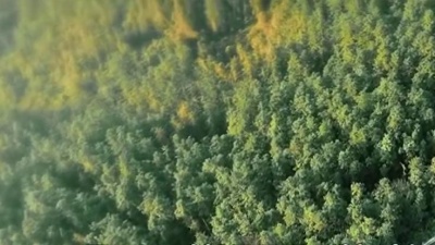 玄鸟传说 - 爱到白头情相守
