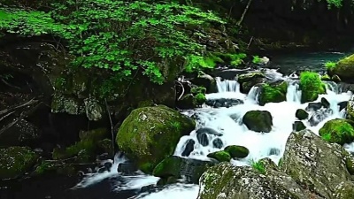 人海茫茫 - 《绿水青山美》绿水青山，如痴如画，净化心灵的天籁之音！