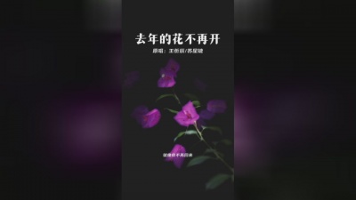 王忻辰、苏星婕 - 去年的花不再开