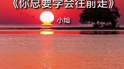 豆豆果 - 小灿《你总要学会往前走》饭制